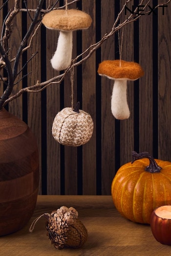 Set of 4 Multi Autumn Hanging Bauble Decorations (Q78991) | £12
