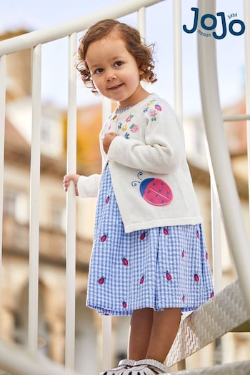 JoJo Maman Bébé Blue Ladybird Gingham Embroidered Summer Dress (Q80705) | £25