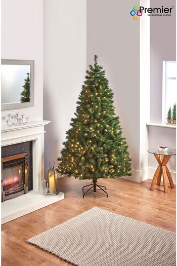Premier Decorations Ltd Green 2.1M Pre Lit Nordic Fir Hinged Artificial Christmas Tree (Q81961) | £225