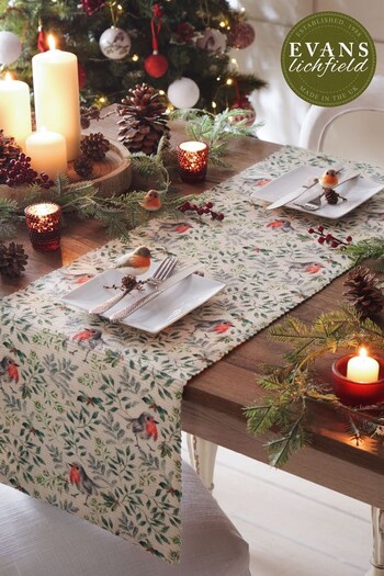 Evans Lichfield Set of 4 Green Robin Christmas Placemats & Table Runner (Q82851) | £30