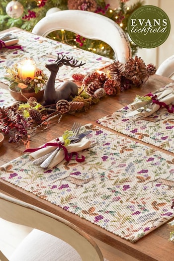 Evans Lichfield Set of 4 Purple Reindeer Table Placemats (Q82896) | £16