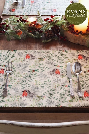 Evans Lichfield Set of 4 Green Robin Table Placemats (Q82907) | £16