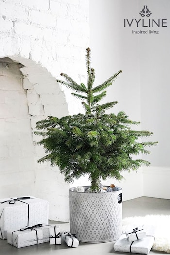 Ivyline Grey Indoor Christmas Tree Bucket (Q86130) | £60