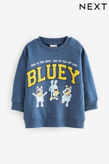 Blue Bluey Crew Neck Sweatshirt (3mths-8yrs) (Q87566) | £16 - £18