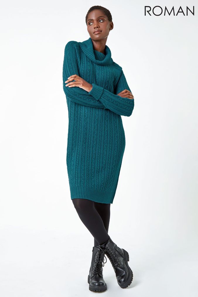 Buy Women s Knee Length Jumper Dress Roll Neck Dresses Online Next UK