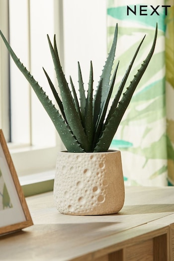 Green Artificial Aloe Plant in Natural Pot (Q94055) | £28