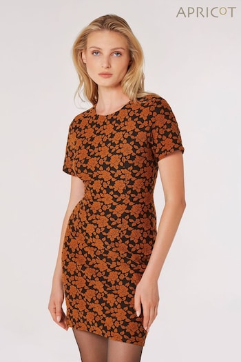 Apricot Natural Rose Jacquard Shift Dress (Q94087) | £30
