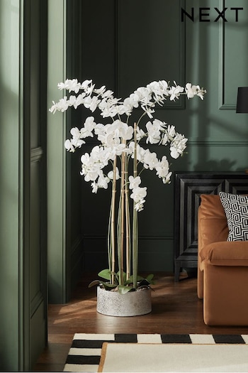 White Extra Large Artificial Floor Standing Orchid (Q96162) | £250