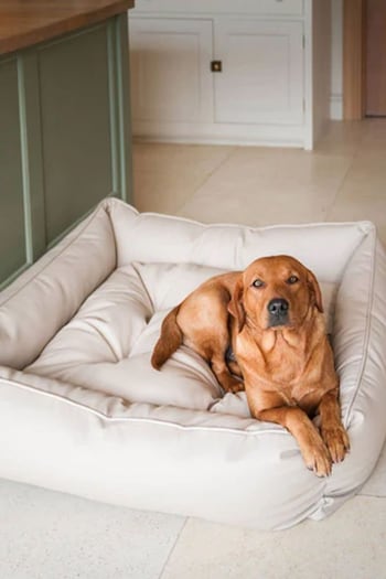 Lords and Labradors Natural Dog Box Bed in Rhino Leather (Q96211) | £125 - £195