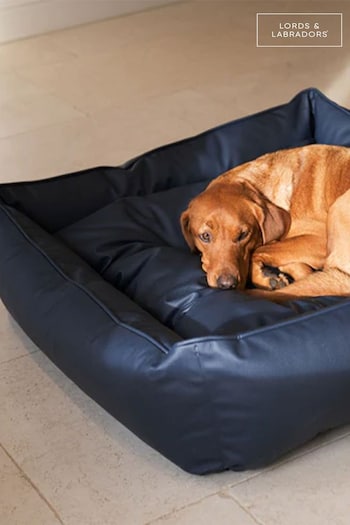 Lords and Labradors Blue Dog Box Bed in Rhino Leather (Q96243) | £125 - £195