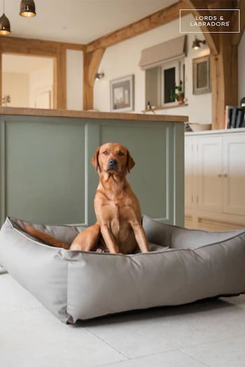 Lords and Labradors Mink Brown Dog Box Bed in Rhino Leather (Q96248) | £125 - £195