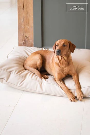 Lords and Labradors Natural Handled Dog Cushion Rhino Leather (Q96347) | £125 - £165