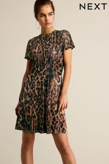 Leopard Print Mesh Corset Detail Mini Dress (Q96572) | £28