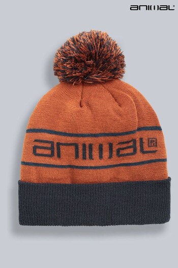 Animal Brown Briggs Recycled Ski Pom Brown Beanie (Q97531) | £20