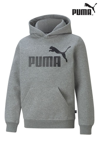 Puma Grey Essentials Big Logo Youth Hoodie (Q99272) | £35