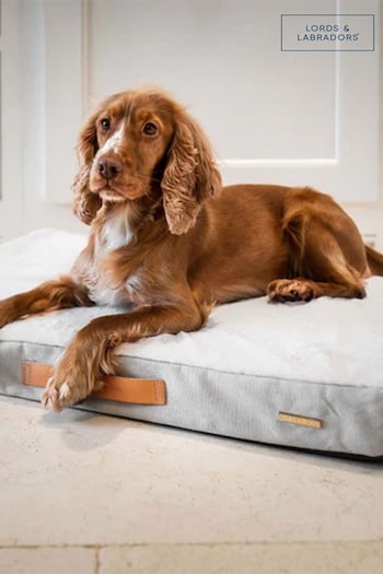 Lords and Labradors Natural Essentials Twill Orthopaedic Dog Mattress (Q99899) | £60 - £80