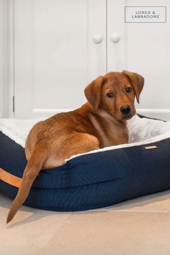Lords and Labradors Blue Essentials Twill Oval Dog Bed (Q99916) | £60 - £80