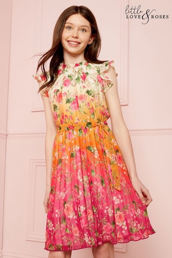 A-Z Womens Brands Pink Floral Ombre Printed Frill Sleeve Pleated Dress (R52352) | £39 - £47