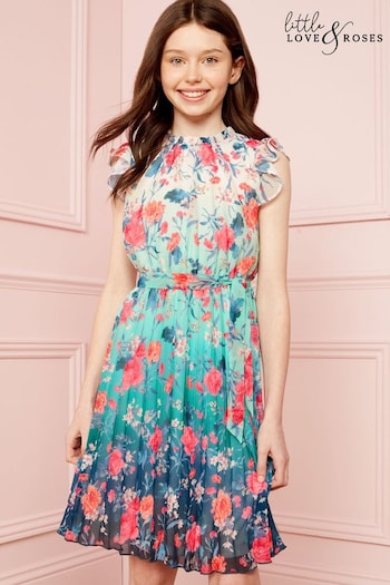 Citizens of Humanity Jeans mit hohem Bund Blau Blue Floral Ombre Printed Frill Sleeve Pleated Dress (R52353) | £39 - £47
