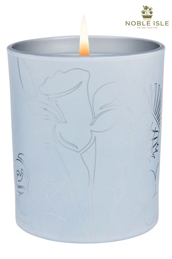 Noble Isle Clear Pinewood Scented Candle (R66029) | £42
