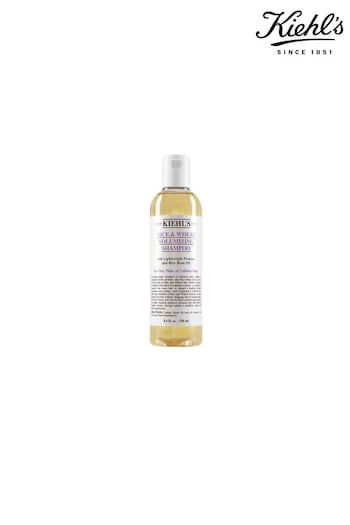 Kiehl's Rice and Wheat Volumizing Shampoo 250ml (R66551) | £22