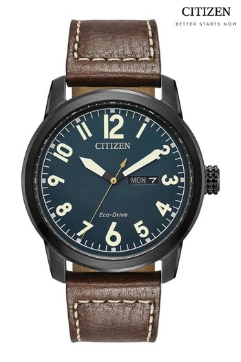 Citizen Gents Brown Strap Wr100 Watch (T04863) | £169