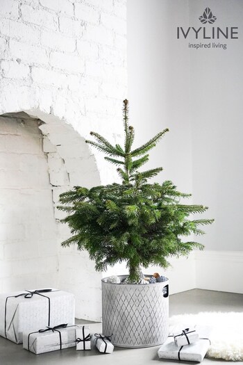 Ivyline Grey Indoor Christmas Tree Bucket (T16886) | £41