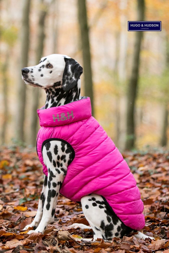 Pink dog coats new arrivals uk