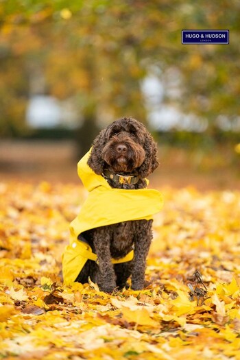 Yellow Hugo & Hudson Rain Dog Coat (T23527) | £35
