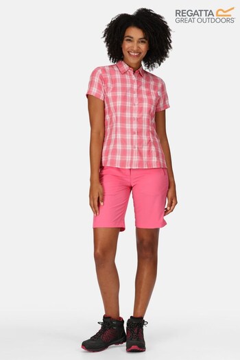 Regatta Pink Mindano VII Short Sleeve Shirt (T37211) | £24