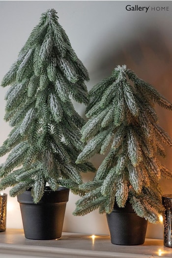 Gallery Home Natural Snowy Christmas Spruce With Pot 44cm (T43906) | £29