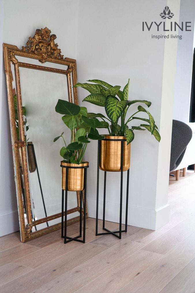 Next plant pots new arrivals