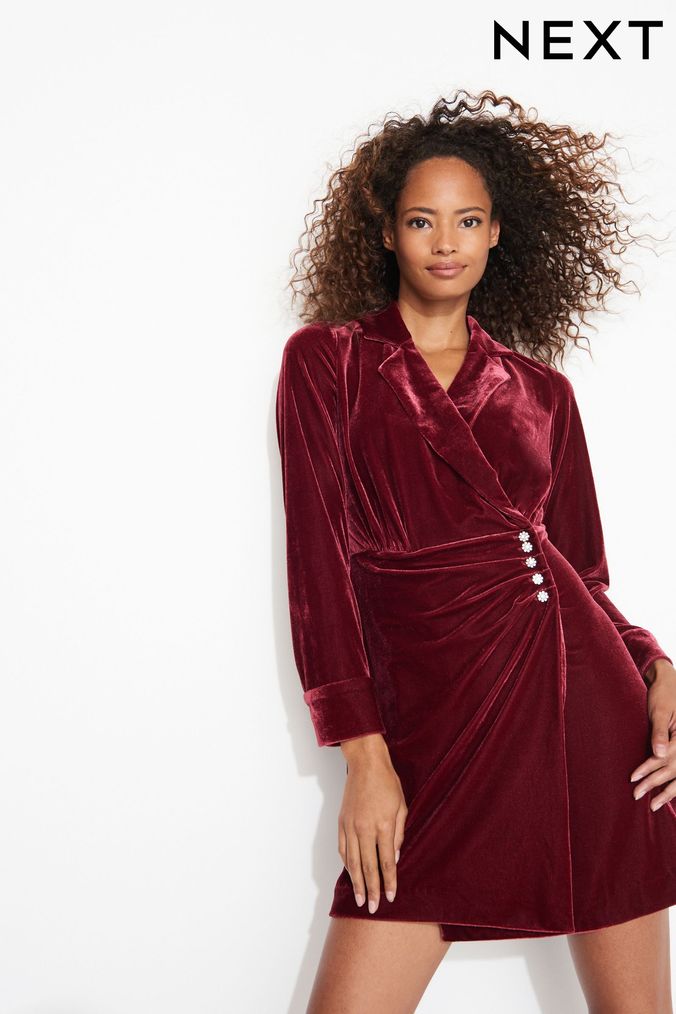 Next shop velvet dress