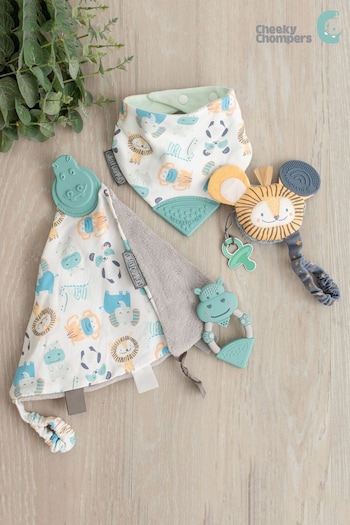Cheeky Chompers Comfort And Chew Baby Gift Bundle (T55674) | £46