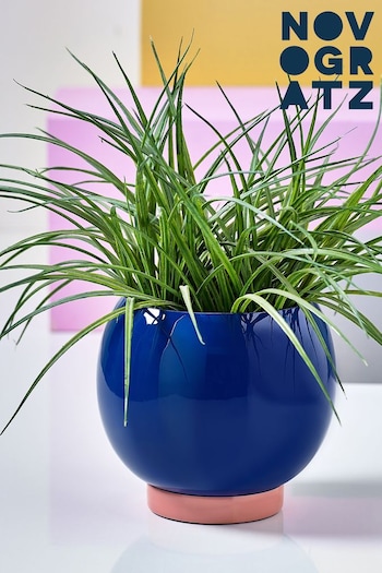 Novogratz Blue/Pink Small Plant Pot (T60112) | £32