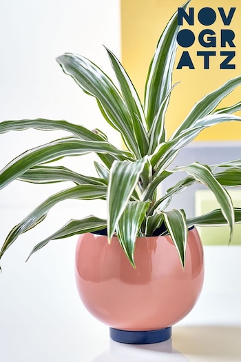 Novogratz Pink/Blue Medium Plant Pot (T60113) | £35