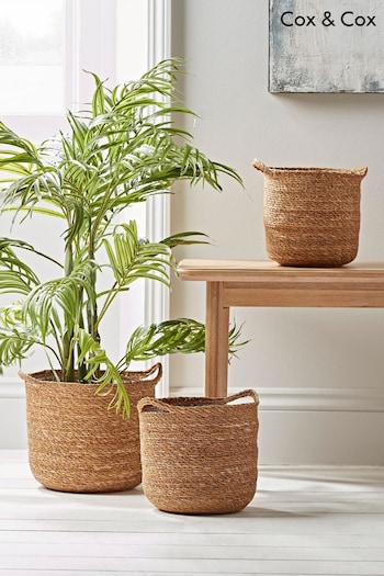 Cox & Cox Natural Three Seagrass Planter Baskets (T66615) | £65
