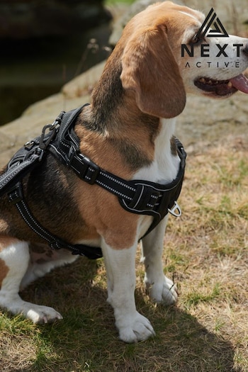 Black Active Dog Harness (T67406) | £34