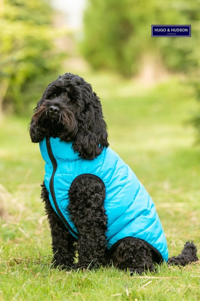 Hugo hudson dog hotsell coat
