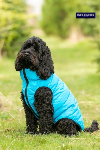 Hugo & Hudson Dark Green and Grey Reversible Dog Puffer Jacket (T69946) | £40
