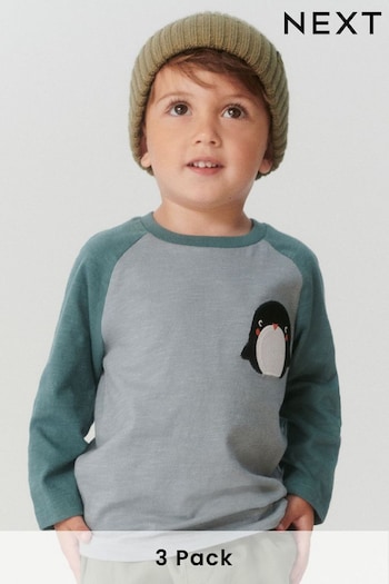 Blue/Grey Arctic Animals 3 Pack Long Sleeve Character T-Shirts (3mths-7yrs) (T75417) | £19 - £23