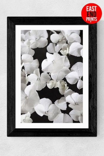 East End Prints White White Beauty On Black By Studio NaHili (T77119) | £47 - £132