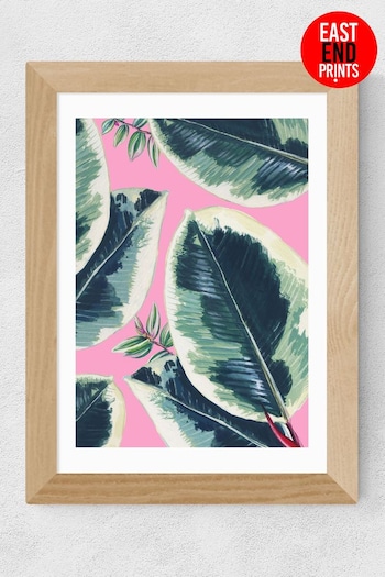 East End Prints Green Rubber Plant By Rocket 68 (T77126) | £47 - £132