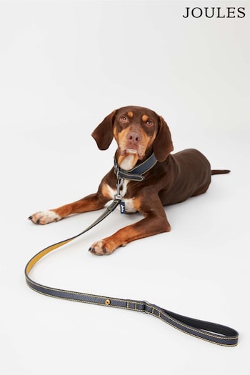 Joules Navy Leather Dog Lead (T81735) | £19