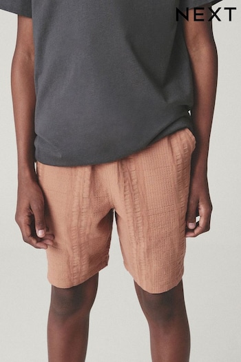 Rust Brown Textured Stripe Shorts (3-16yrs) (T83017) | £10 - £15