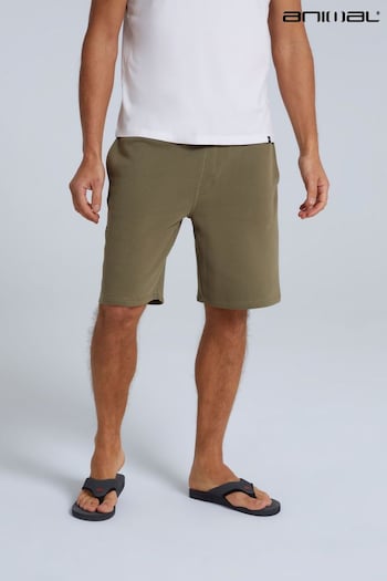 Animal Mens Green Unwind Organic Stripe Shorts (T90912) | £35