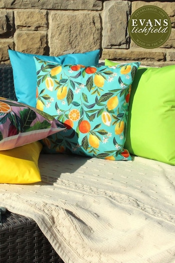 Evans Lichfield Blue Orange Blossom Water Resistant Outdoor Cushion (T91718) | £17
