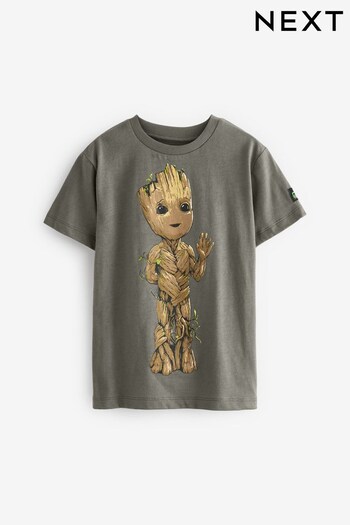 Groot Charcoal Grey Guardians Of The Galaxy License Short Sleeve T-Shirt (3-16yrs) (T96344) | £14 - £19