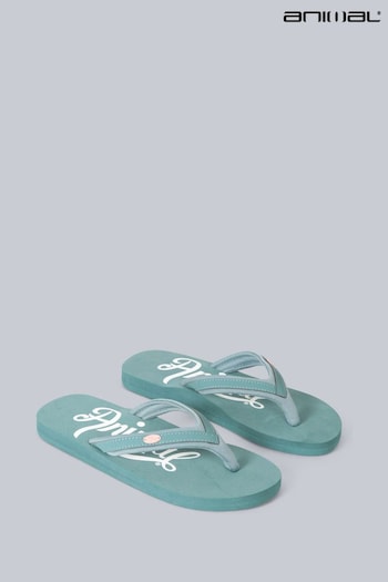 Animal paires Green Swish Recycled Flip-Flops (T97465) | £20