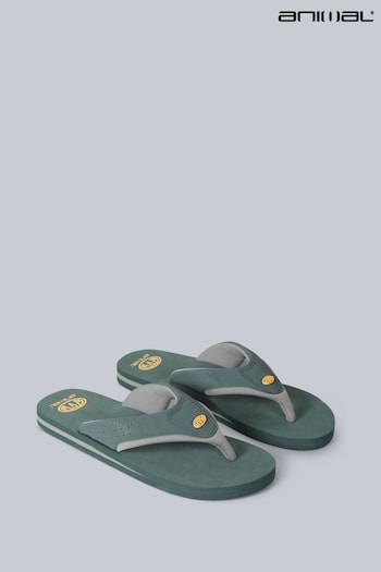 Animal Mens Green Jekyl Recycled Flip-Flops (T97470) | £22